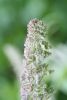 IMG_0043.JPG