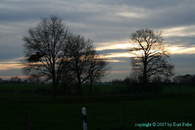 IMG_0040.JPG