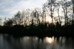 IMG_0011.JPG