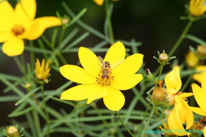 IMG_0072.JPG
