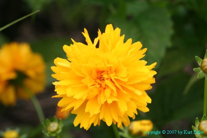 IMG_0093.JPG