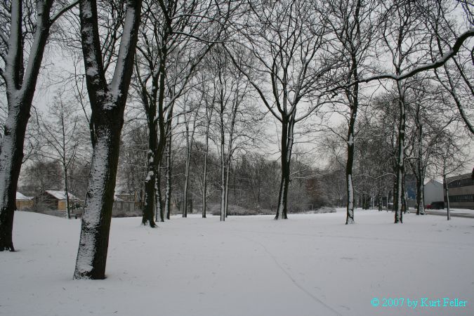 IMG_0024.JPG