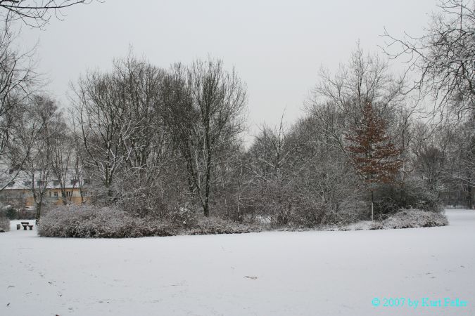IMG_0025.JPG
