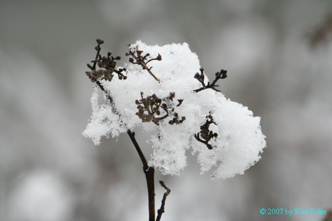 IMG_0036.JPG