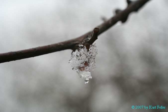 IMG_0060.JPG